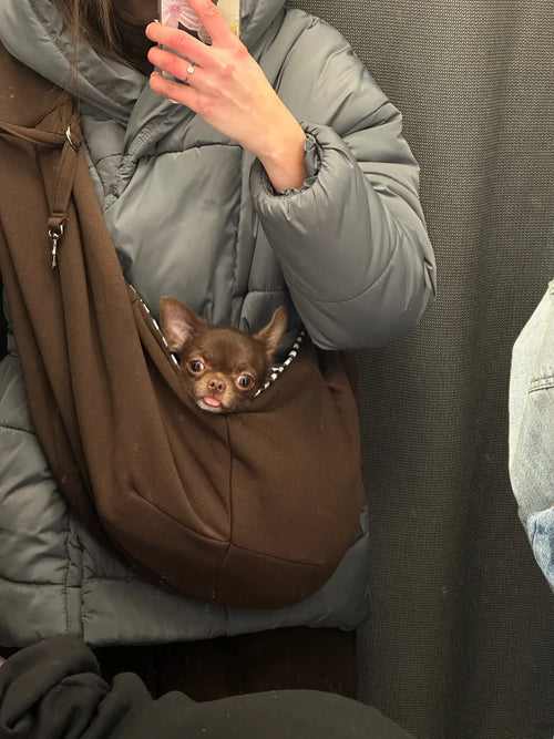 Photo du sac à dos chien et chat en polyester respirant