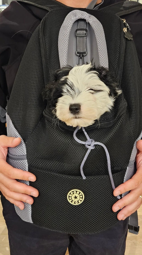 Photo du sac à dos chien en mesh respirant, petites races 1 à 12 kg