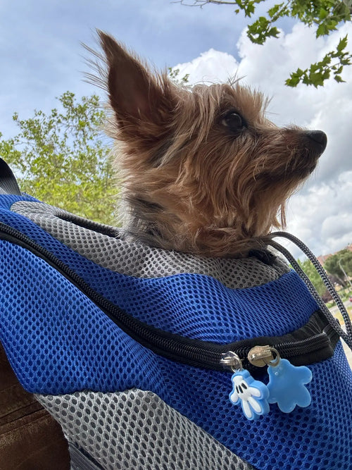 Photo du sac à dos chien en mesh respirant, petites races 1 à 12 kg