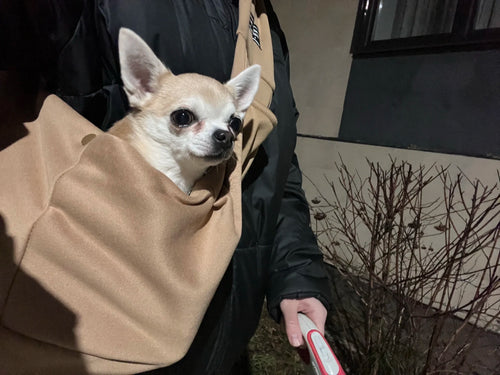 Photo du sac à dos chien et chat en polyester respirant
