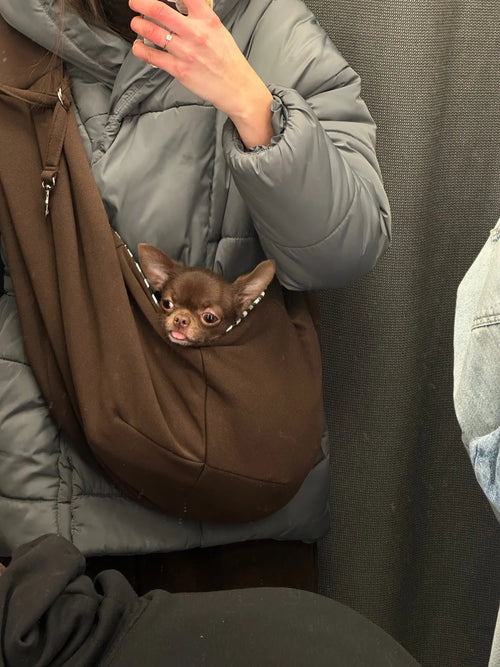 Photo du sac à dos chien et chat en polyester respirant