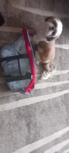 Photo du sac de transport pour chat et petit chien en filet respirant