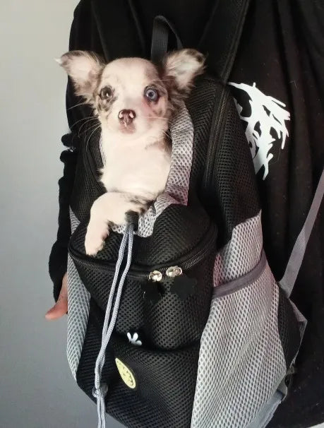 Photo du sac à dos chien en mesh respirant, petites races 1 à 12 kg