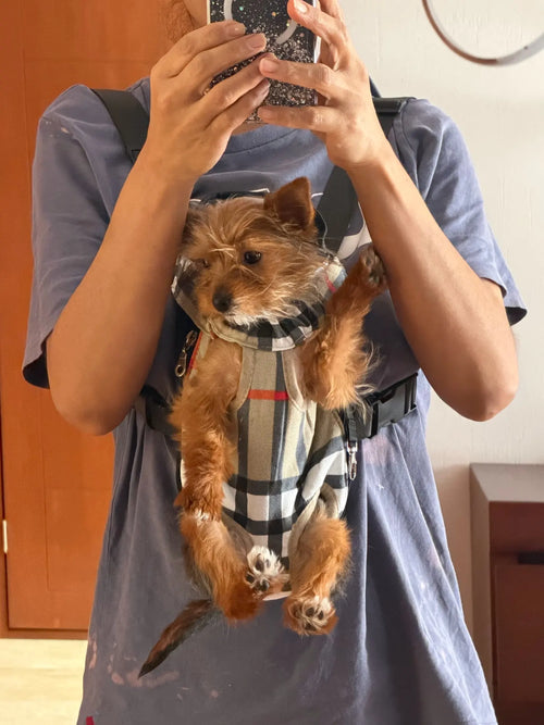 Photo du porte-animal ventral pour chat et petit chien