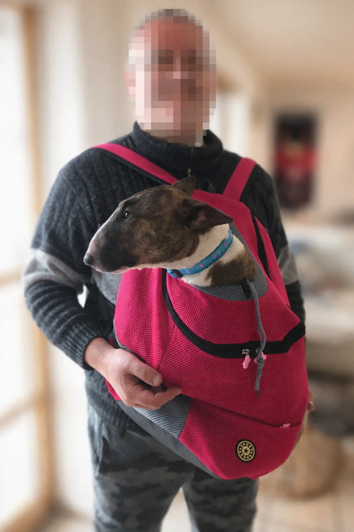 Photo du sac à dos chien en mesh respirant, petites races 1 à 12 kg