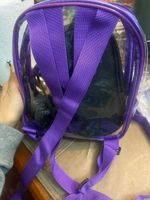 Photo du mini sac à dos transparent en PVC