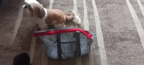 Photo du sac de transport pour chat et petit chien en filet respirant