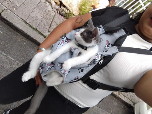 Photo du porte-animal ventral pour chat et petit chien