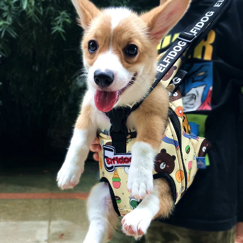 Sac à dos chien en nylon et oxford pour petites races