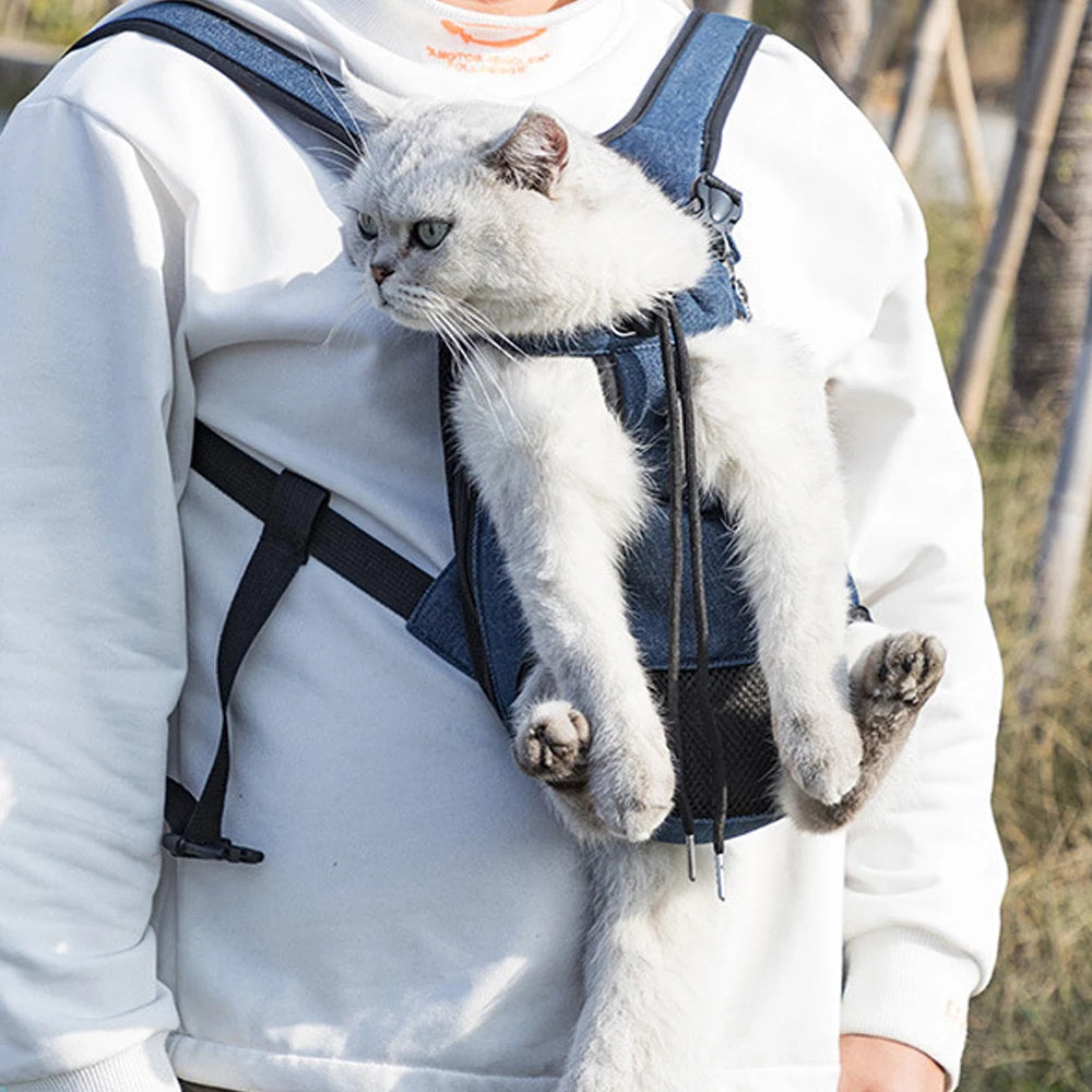Porte-animal ventral pour chat et petit chien