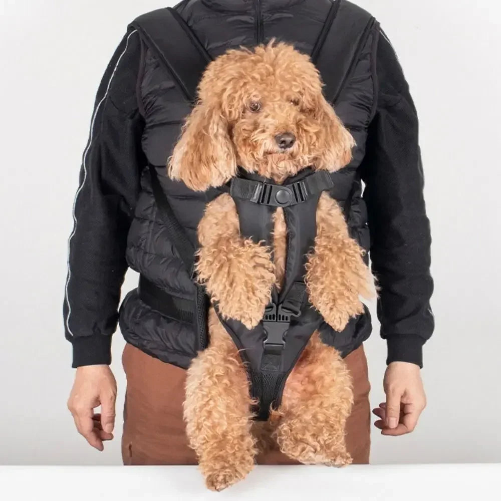 Sac à dos chien pour petits chiens avec mailles aérées