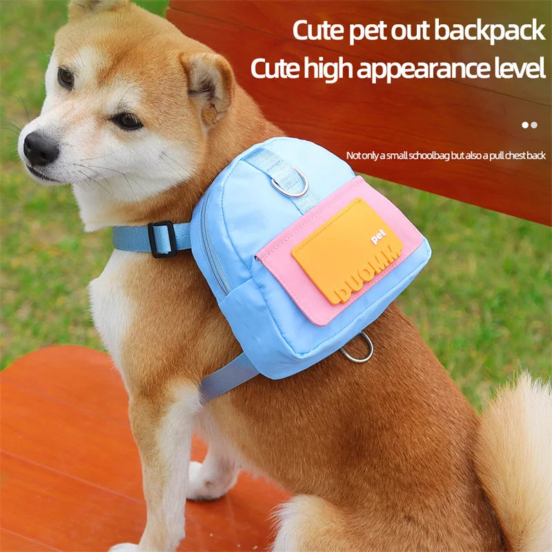 Sac à dos chien pour petites races jusqu'à 15 kg