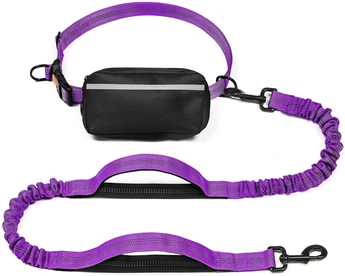 Laisse mains libres pour chien avec ceinture et pochette