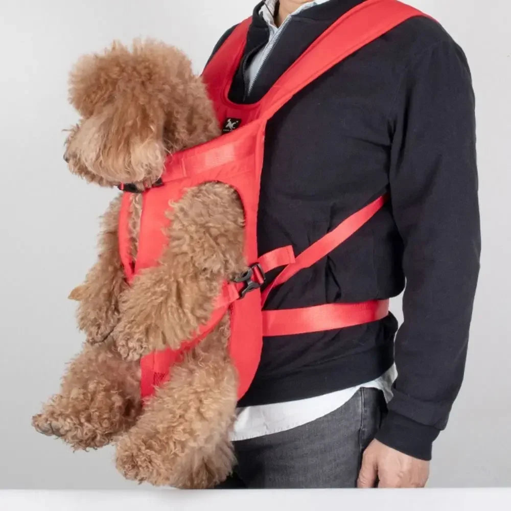 Sac à dos chien pour petits chiens avec mailles aérées