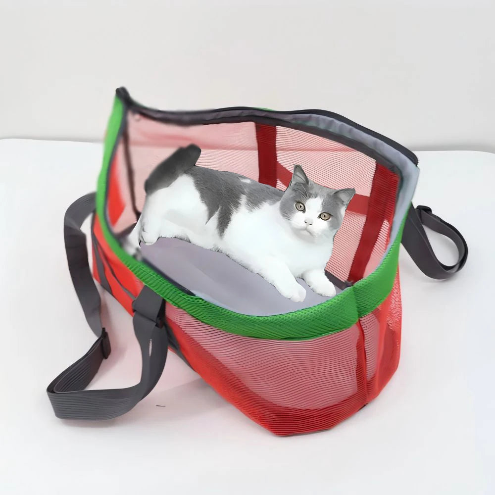 Sac de transport pour chat et petit chien en filet respirant