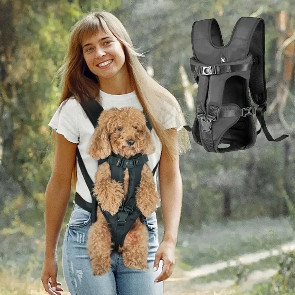 Sac à dos chien pour petits chiens avec mailles aérées